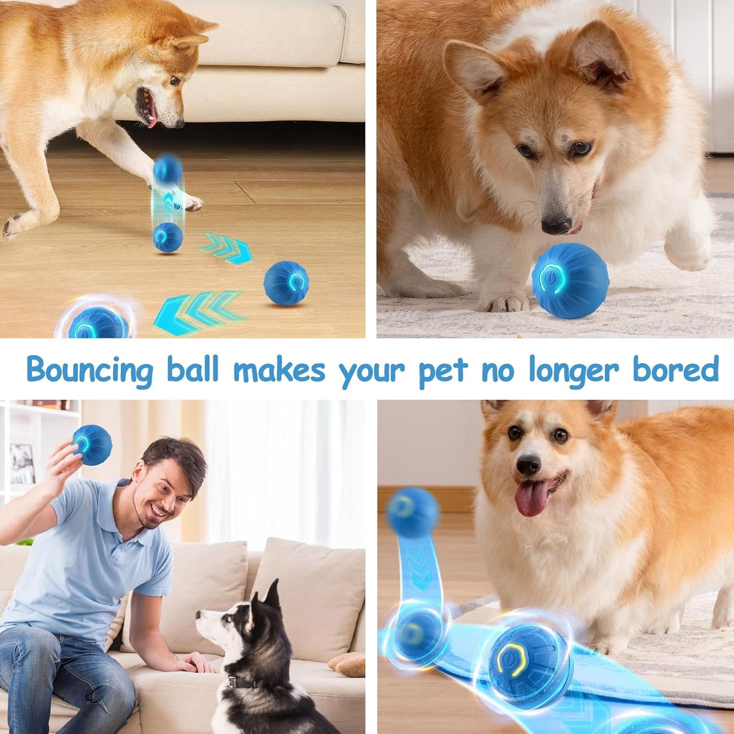 Gravity Bounce Interactive Pet Ball